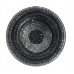 Kardaninio veleno guolis, skersmuo 22 mm