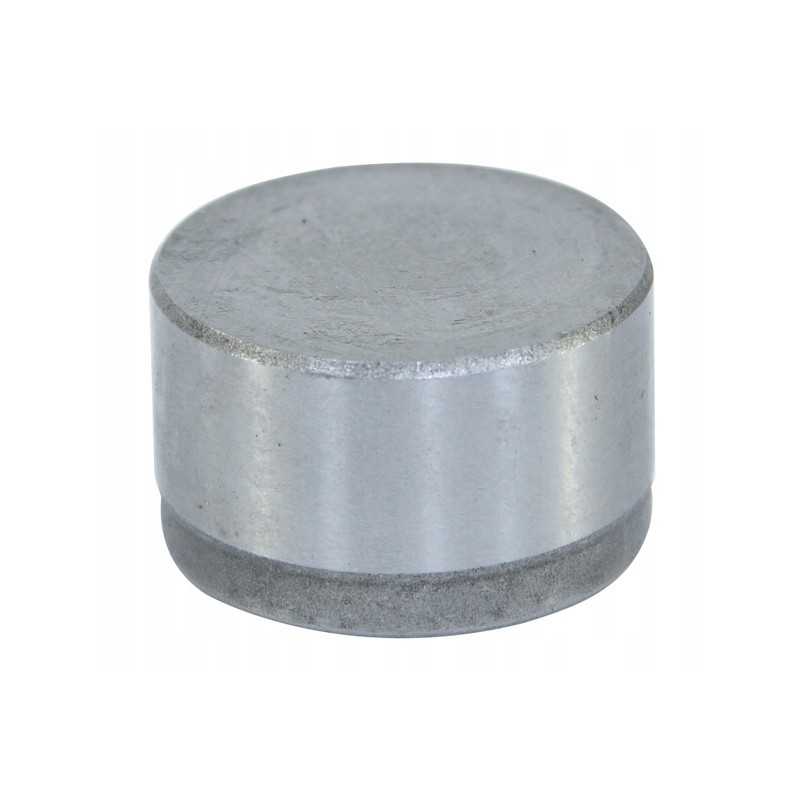 Kardaninio veleno guolis, skersmuo 32 mm
