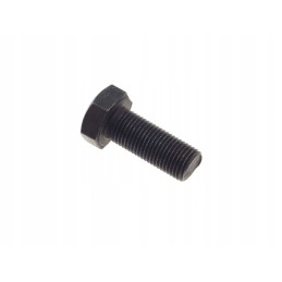Varžtas m12x1 25 30 c 385 ir lizdas