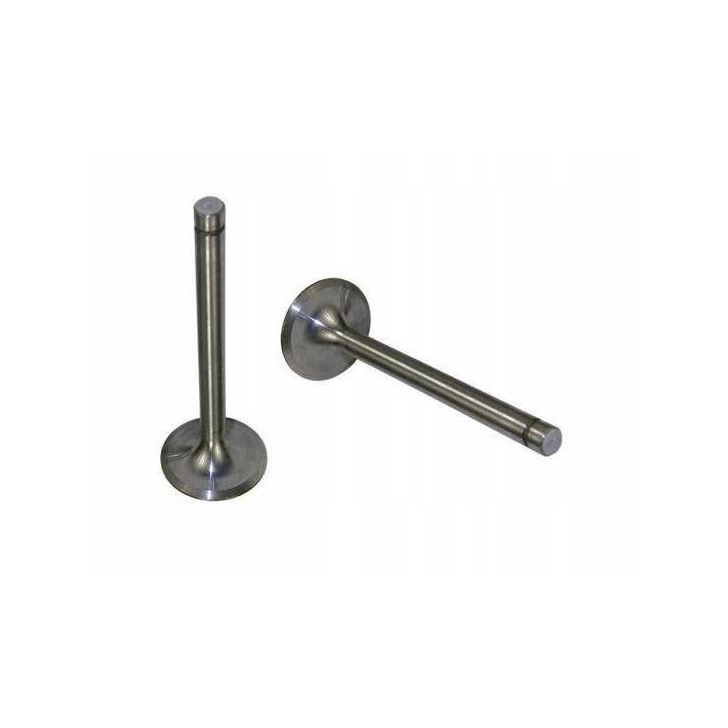 Išmetimo vožtuvas 7340 zetor motogeneric