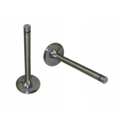 Išmetimo vožtuvas 7340 zetor motogeneric