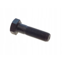Varžtas m20x70 8 8 c 385 ir lizdas