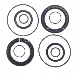 Cyclops pavaros sandariklių rinkinys, seno tipo