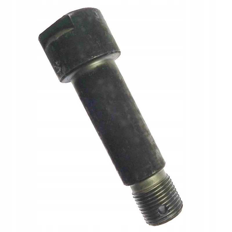 Motogenerinis vairo kaištis