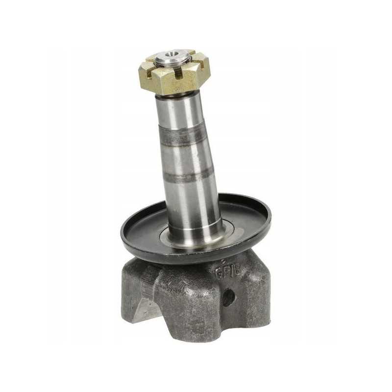 4227221n 600x16 ursus smūgis