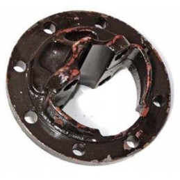 Mtz nkpl ua galinė stebulė