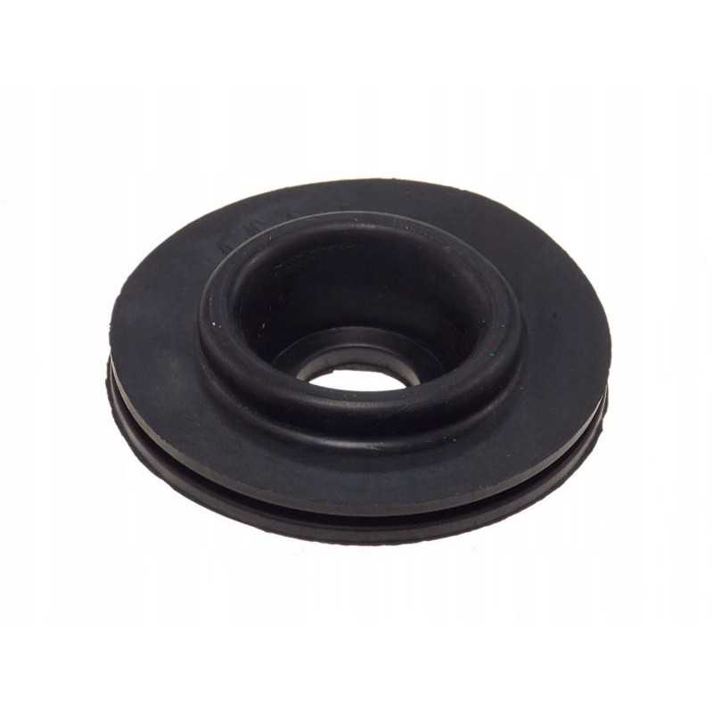 IC 385 dangtelis ir dangtelis