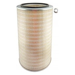 Baldwin PA1975 oro filtro įdėklas