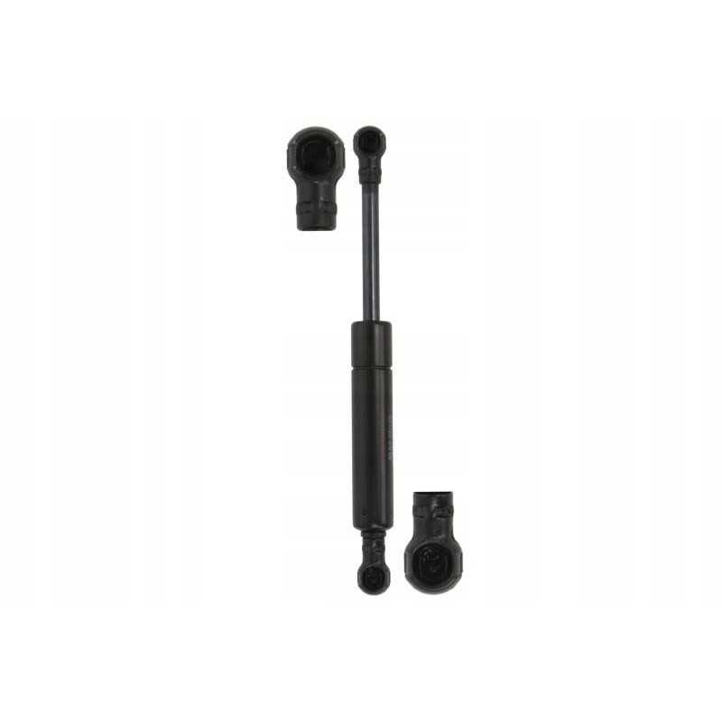 Dujinė spyruoklė l max 200mm eiga 56 5mm jėga