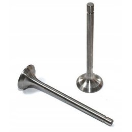 Išmetimo galvutės vožtuvas t 25