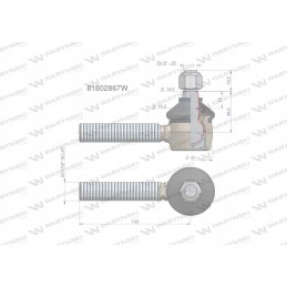Vairo šarnyras 11 16 l 81802867 motogeneric