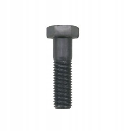 Krautuvo tvirtinimo varžtas ilgas