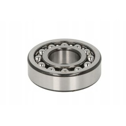 25x62x17 dviejų eilių savaime išsilyginantis rutulinis guolis