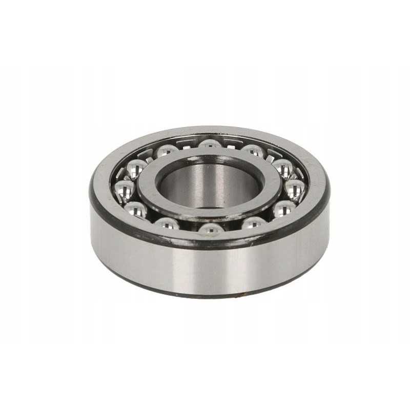 25x62x17 dviejų eilių savaime išsilyginantis rutulinis guolis