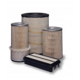 Baldwin PA2840 oro filtro įdėklas