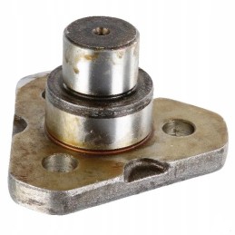 Viršutinis zetorinis kaištis 930815