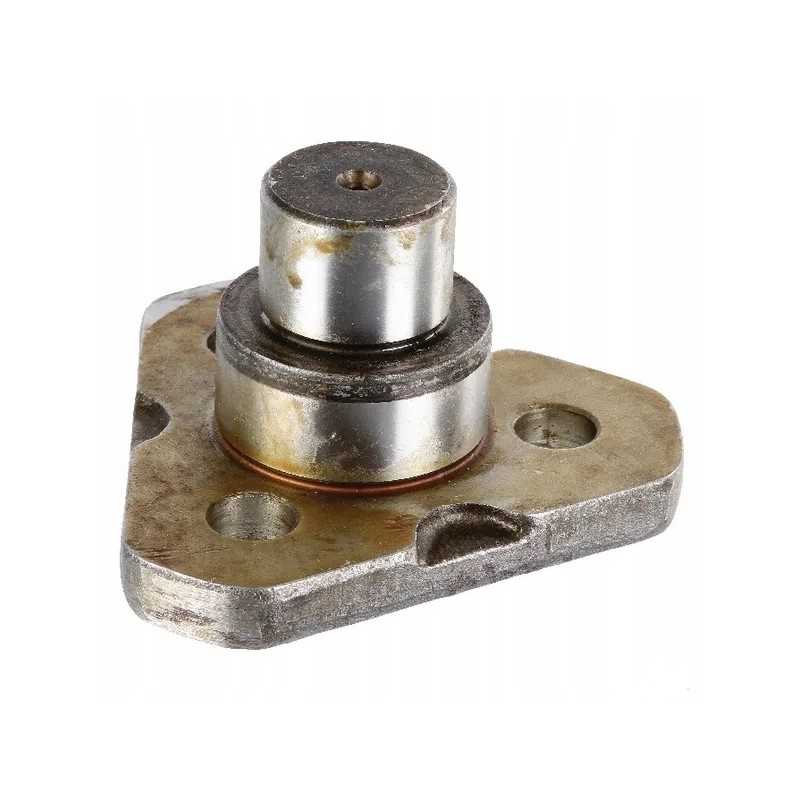 Viršutinis zetorinis kaištis 930815