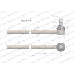 Vairo šarnyras 81802849 motogeneric