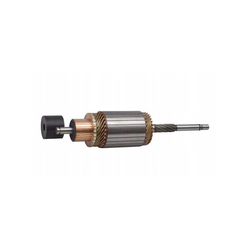 2962851300 starterio rotorius r10, skirtas sw 400