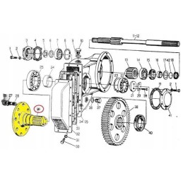 Galinio rato velenas c 330 originalus ursus 50014100u