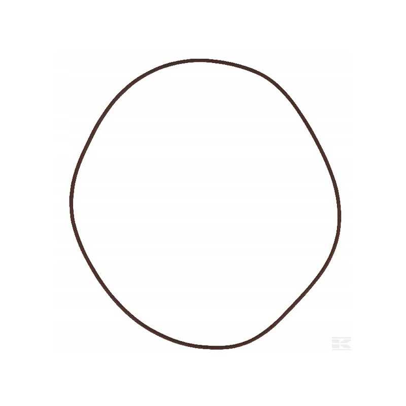 215391180 massey ferguson stabdžių arba žiedas