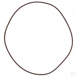 215391770 o massey ferguson stabdžių žiedai