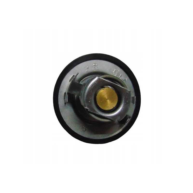 Deutz termostatas 0 900 0133 3