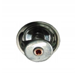 Steyr termostatas 131100040036
