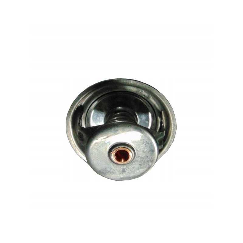 Steyr termostatas 131100040036