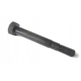 Sumontuotas varžtas m10x80 ursus