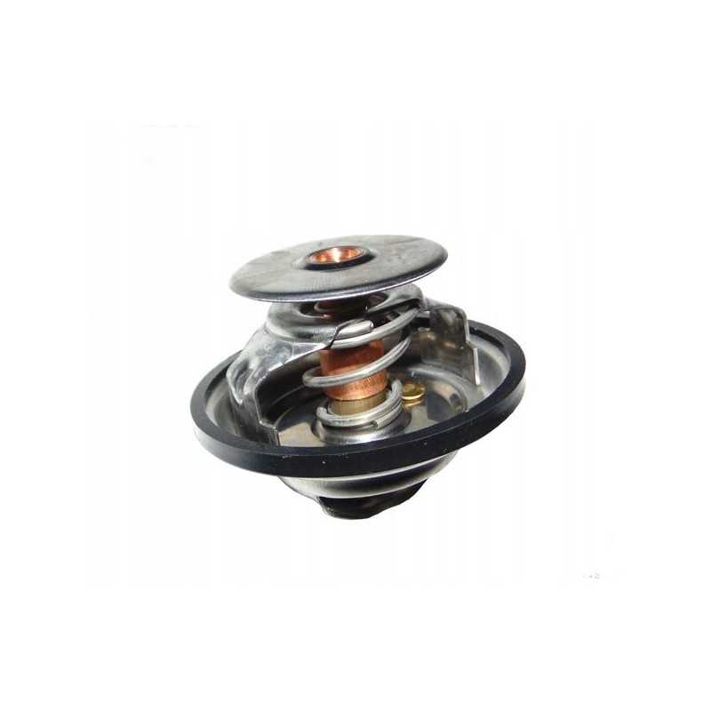 Termostatas Steyr TV 101 83