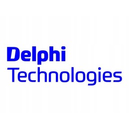 Delphi 6418 053 etiketė