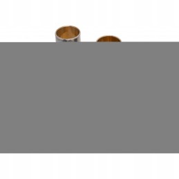 Vpj2002 su garų kaiščio remontu