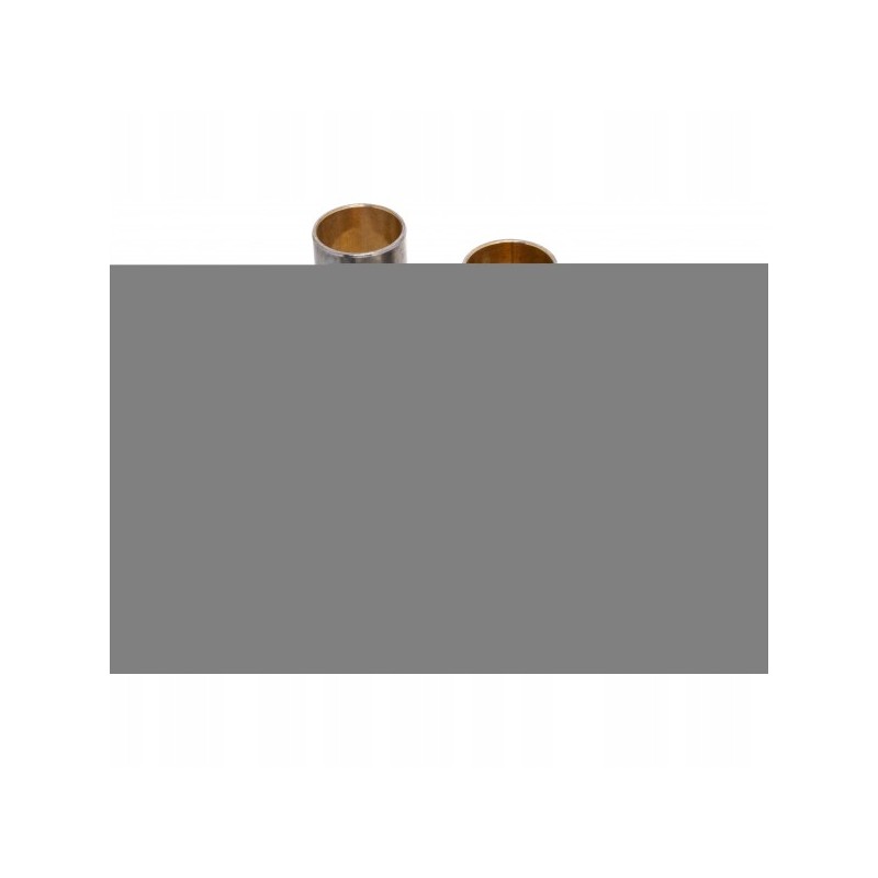 Vpj2002 su garų kaiščio remontu