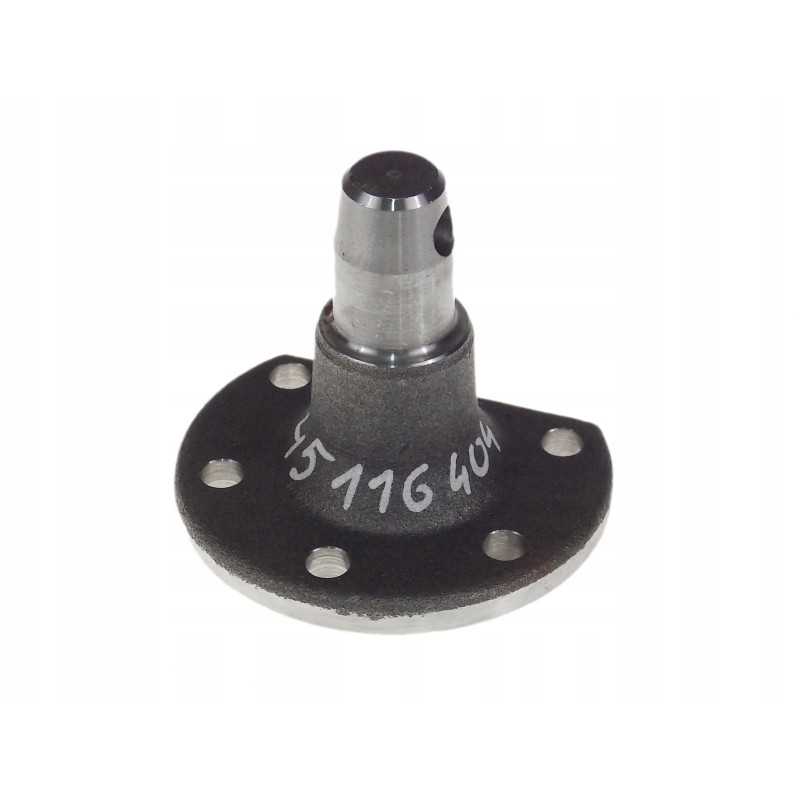 Prikabinimo kaištis