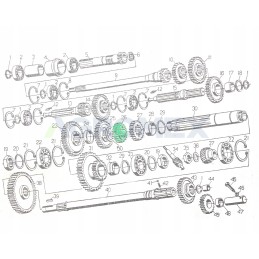 II ir IV pavarų krumpliaratis