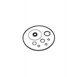 Vpj4004 su remonto vairo stiprintuvo siurbliu