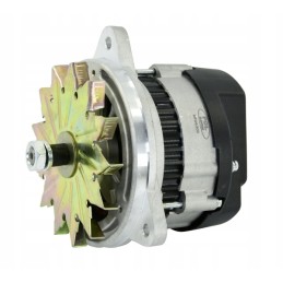 kintamosios srovės generatorius mf 3 14v 34a 1668906m92 ex241020 lenkiškas