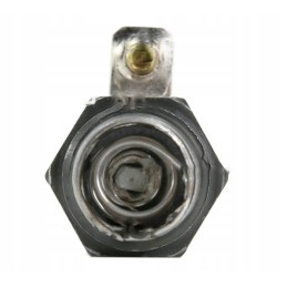 Liepsnos žvakė Zetor 53009914 aparts