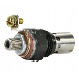 Liepsnos žvakė Zetor 53009914 aparts