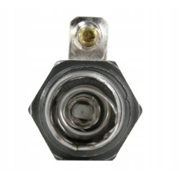 Liepsnos žvakė Zetor 53009914 aparts