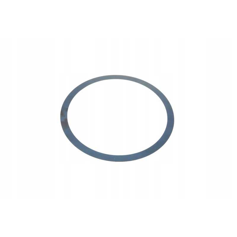 816300020210 galinio diferencialo poveržlė