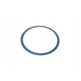 816300020210 galinio diferencialo poveržlė