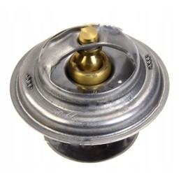 Termostatas 385 Zetor 6100 01 89005904 70011316 m