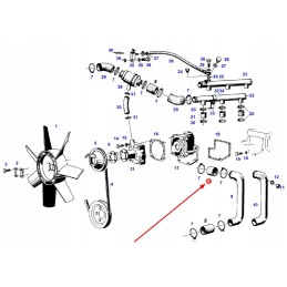 74706060 radiatoriaus žarna