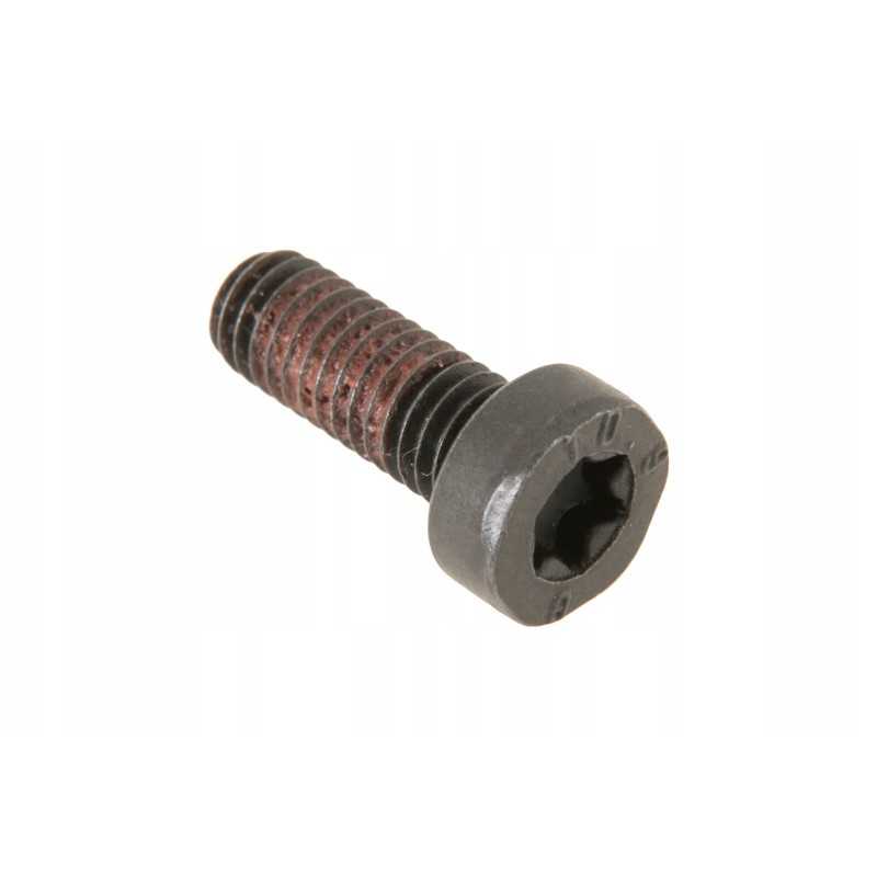 4302667m1 dvigubos sankabos varžtas m6 x 16