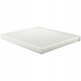 Baldwin PA30173 salono filtro įdėklas