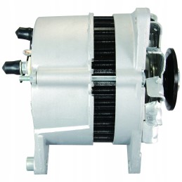 Perkinso generatorius