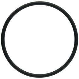 Oring 570054 0x3 0 x548932466000 granitas