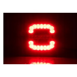 Roca Lzd 2800 galinis kombinuotas žibintas